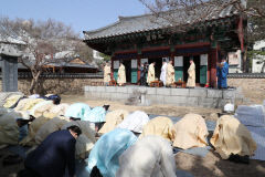 경북 안동 태사묘 춘계향사 봉행