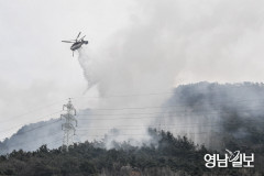 대구 앞산 불 1시간30분 만에 큰 불길 잡아