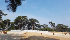 [이도국의 영남좌도 역사산책] 씨족의 출발, 성과 본관