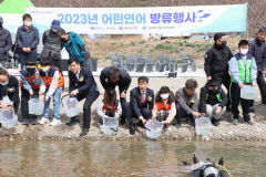 포항 장기천 일원에 어린 연어 10만 마리 방류 