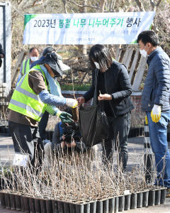 [포토뉴스] '나무 받아가세요' 수성구청 나무 나누어주기 행사