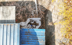 대구시청 산격청사서 80대 남성 추정 백골 시신 발견