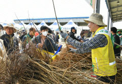 경산묘목 행복나눔 한마당, 이틀간 2만주 이상 무료 배부