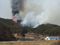 안동시 도산면 산불, 발생 3시간 반 만에 주불 잡혀