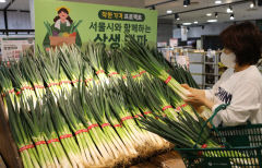 롯데마트, 이번 주말 대파부터 한우 등심까지 최대 40% 할인