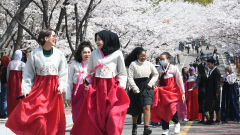 [포토뉴스] 한복 입고 즐기는 봄나들이