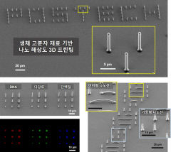 포스텍, 세계 최초 DNA·단백질 3D 프린팅 기술 개발…생체 고분자 패턴 제작 가능