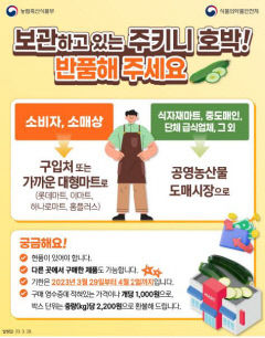 안동시, 주키니 호박 판매 중지·전량수거해 폐기한다는데…왜?