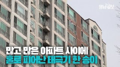 [영상뉴스] 3천 세대 아파트 중 태극기가 달려있는 곳은?