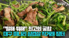 [영상스케치] 