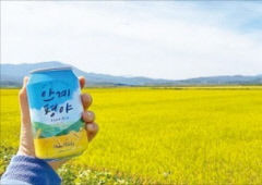 경북 의성 안계 수제맥주 공방 '호피 홀리데이' 핫플로 주목
