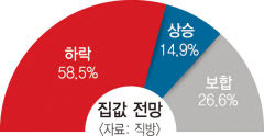 41% 