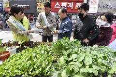 [포토뉴스] 도시농업의 날 맞아 모종 배부 받는 시민들