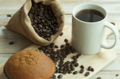 '빵빵'한 커피도시, 대구 위상 다진다