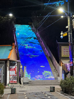 포항 구룡포 일본인가옥거리에 미디어아트 선보여