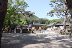 포항 보경사, 다음달 4일부터 무료로 입장하세요