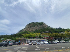 제주도 입도세 추진에 