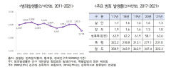 2021년 범죄발생률 최근 10년 중 최저