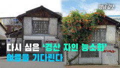 [영상뉴스]다시 심은 '경산 자인 능소화' 여름을 기다린다