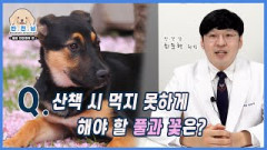 [반.전.남2] Q.봄철 산책 시 먹지 못하게 해야할 풀과 꽃은?