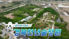 [드론뷰]경북 1호 지방정원 '천년숲정원'