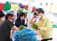 [영양 가볼만한 곳]  일월산 산나물 따러 영양으로 오세요…11일부터 산나물축제