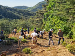 경주국립공원·영림원소프트랩, 경주 남산 묘지 이장지에 생태 복원