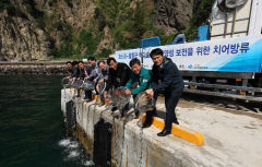 포스코, 바다식목일 맞아 울릉군에 바다숲 이관