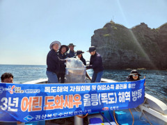 경북수산자원연구원, 독도 터줏대감 '도화새우' 30만마리 방류