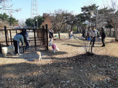 반려동물과 해수욕 즐기고 콘서트도 즐기고 싶다면?  경북으로 오세요