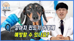[반.전.남2] Q.진드기 어떻게 예방할 수 있나요? | 영남일보