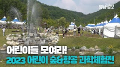 [영상뉴스] 2023 구미 에코랜드 어린이 숲&항공 과학체험전