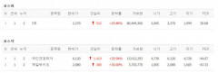 코스피 2600 돌파,DB·제일바이오·하인크코리아 상한가 마감