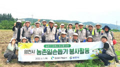 경북개발공사, 영천 마늘밭 농촌 일손돕기