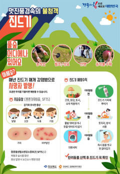 경북에서 올해 첫 진드기 매개 감염병 'SFTS' 환자 발생...상주거주 60대