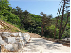 청송군 집중호우 대비 안전사고 제로 도전