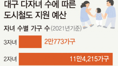'다자녀 3→2명’ 고민 깊은 대구시