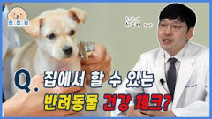 [반.전.남2] Q. 집에서 할 수 있는 반려동물 건강 체크?| 영남일보