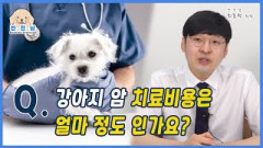 [반.전.남2] Q. 강아지 암 치료비용은 얼마 정도인가요?