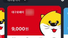 [단독] 대구로페이 출발부터 '삐걱'…