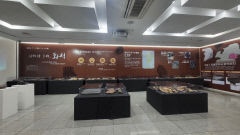 '지구의 비밀을 파헤친다' 수성구립고산도서관 '신비한 흔적, 화석展'