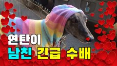 [영상] 대프리카에서의 `연탄이의 하루`