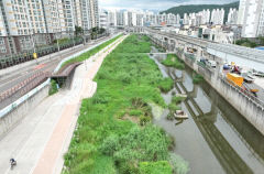 대구 북구 팔거천에 빠진 남성 '수색중'