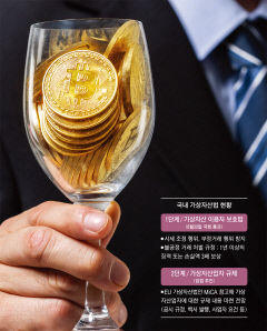 제도권 편입 가상자산, 또 한번의 축배 가능할까