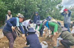 봉화 '백두대간 봉자페스티벌' 여름축제 전격 취소…호랑이 숲 관람은 내달 1일부터 가능