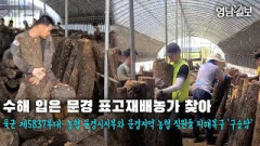 [영상뉴스] 호우 피해입은 문경 표고재배농가 수해 복구 돕는 육군 제5837부대·농협 문경시지부와 직원들