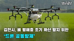 [영상뉴스]김천시, 벼 병해충 조기 확산 방지 위한‘드론 공동방제’| 영남일보
