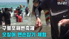 [영상뉴스]제19회 구룡포해변축제, 오징어 맨손잡기 체험행사