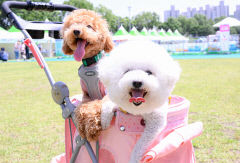 '반려견 등록 자진신고' 다음달 30일까지…신고 기간 등록 시 과태료 면제