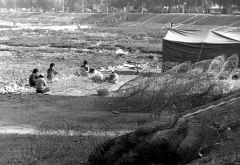 [동네뉴스-추억의 포토] '태풍 대비' 1970년 대구 신천 하천 정비